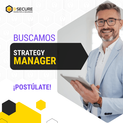 STRATEGY MANAGER
