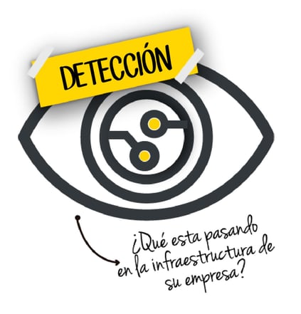 detección
