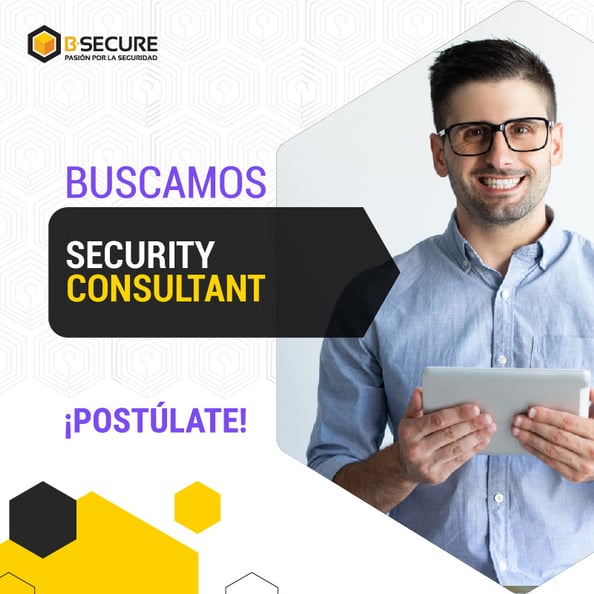 security consultant