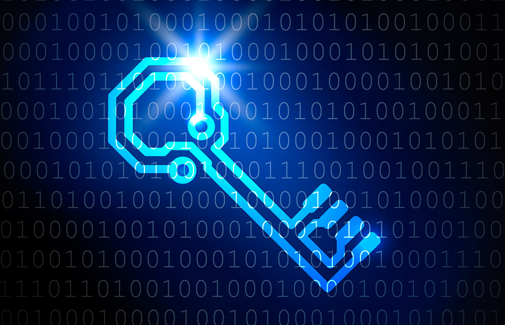 ¿Están seguros los datos de su empresa?